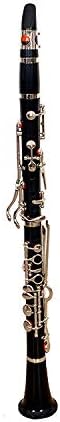 Skylark Creations Black Clarinet 14 Key B-Flat (Kaali Shenai) With Hard Case (Black)