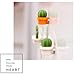 Fine 6Pcs Fridge Stickers,Cactus Refrigerator Stickers Green Plant Magnetic Buckle Magnetic Stickers Home Decoration Children Education Toys (Orange)