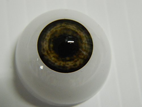 26mm Pair of Realistic Life Size Acrylic Half Round Hollow Back Eyes for Halloween PROPS, MASKS, DOLLS or Bears FN04