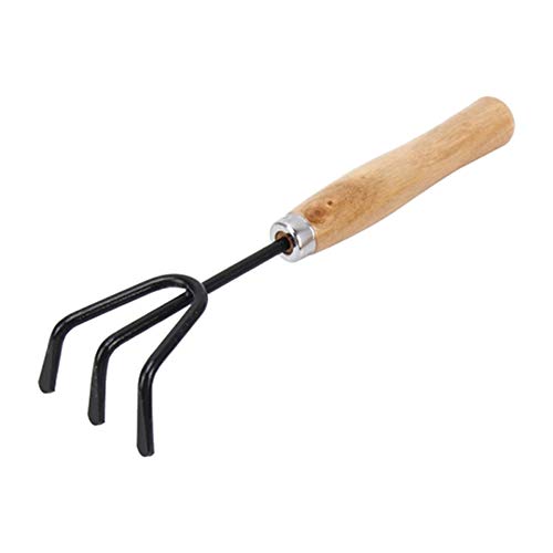 DeoDap 3Pcs Gardening Tools kit for Home | Hand Cultivator | Hand Trowel | Garden Fork | Gardening Set with Smooth Finish, Durable and Sturdy Wooden Handles with Rust Free Material | Set of 3pcs | 4 DeoDap 3Pcs Gardening Tools kit for Home | Hand Cultivator | Hand Trowel | Garden Fork | Gardening Set with Smooth Finish, Durable and Sturdy Wooden Handles with Rust Free Material | Set of 3pcs | - Image 4