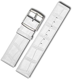 Watch Accessories Watchbands for CK Watch Bands 14mm 16mm 18mm 20mm 22mm Watch Strap Bracelet