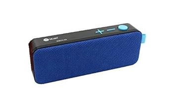 bluei speaker