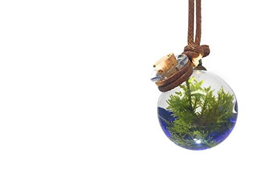 Living, miniature aquarium necklace - Terrarium Pendant | Live Plant Jewelry - Orbling Lapis Lazuli - Thumbnail 2