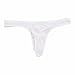 FEESHOW Mens Lingerie Silky Long Sheath Thong Bikinis Briefs Elephant Nose Pouch T-back Underwear White Large (waistline:27.5-43.0