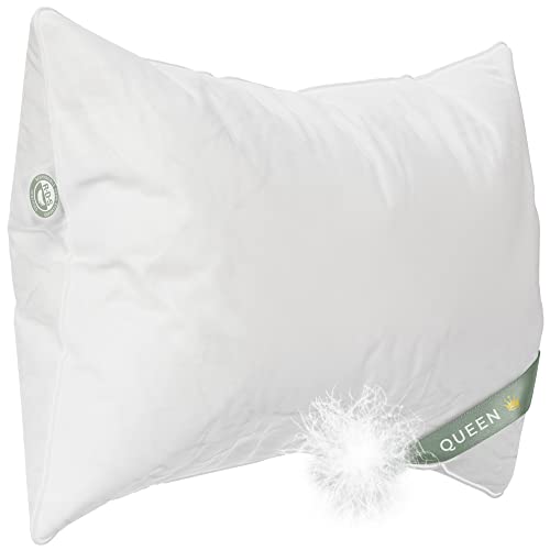 East Coast Bedding Elite European Down Dream Pillow, King, Queen