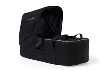 bumbleride indie twin carrycot