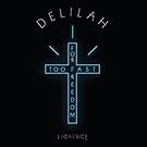 Florence And The Machine: Delilah / Only Love Can Break Your Heart (180g, Colored Vinyl) Vinyl 12
