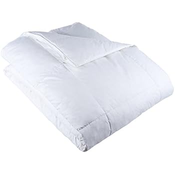 Amazon.com: Lavish Home Full/Queen Comforter, White Goose Down ...
