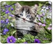 American Heritage Collection Royal Plush Kitten Throw "Flower Garden" 50 in X 60 in