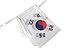 LoveVC South Korea Flag, 100 Feet South Korean Flag National Country World String Flags Banners,International Party Decorations Supplies for World Cup,Olympics,Sports Clubs