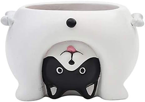 Amazon Co Jp パープル 逆さま動物樹脂栽培多肉植物かわいいかわいいミニ植木鉢デスクトップ盆栽ダウン新しい家の庭の装飾 ホーム キッチン