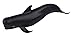 Safari Ltd. Pilot Whale Figurine - Lifelike 5.75