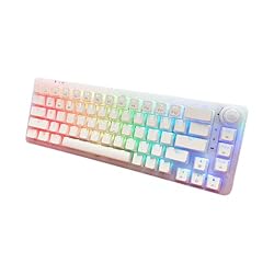 GK GAMAKAY LK67 65% RGB Pudding Mechanical Keyboard