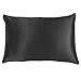 100% Pure Mulberry Silk Pillowcase for Hair and Skin,Both Sides 22 Momme Silk,Both Sides Silk Pillow Case with Hidden Zippe,Hypoallergenic Soft Breathable,1pc