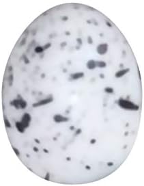 Goolsky Garden Decoration Diy Foam Birds Eggs Mini Cute Bird S Nest Easter Decor For Home Decor Simulation Craft Amazon Ae