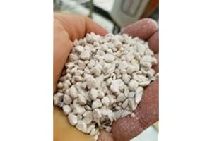 Shrimp Rocks, Calcium, Magnesium Rocks for Crayfish, Hermit Crab, Snails, Crustacean Care, Aquarium Decor for Crystal Red, Am