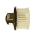 TYC 95-99 Ns Maxma Blower Assy