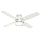 Hunter Indoor Low Profile Ceiling Fan With Light And Remote