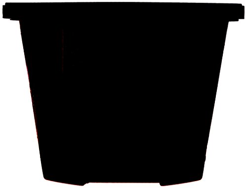 1 Panera+Bread+Organic+Tomato+Bisque