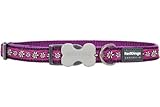 Red Dingo Designer Dog Collar, Small, Daisy Chain Purple