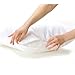 Premium BED Bugs Pillow Protector a Set of 2 Pillow Protectors - Lifetime Warranty (king (21