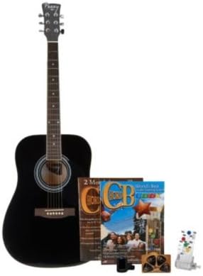 ChordBuddy Fast & EZ Guitar Learning System with Guitar by Lori Greiner