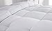 Hanna Kay Twin Comforter, Year Round Down Alternative Comforter, Duvet Insert, Fluffy,Warm, and Soft (Twin)