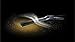 TRICO Force Wiper Blade 26 inch Fits Select Honda, Toyota, Nissan, Hyundai, Dodge, Kia, Ford, Acura, Lexus, Subaru, Chevrolet (25-260)