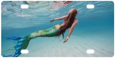 The Ocean Mermaid Novelty License Plate Decorative Front Plate 6" X 12"