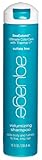 Aquage Volumizing Shampoo, 10-Ounce Bottle