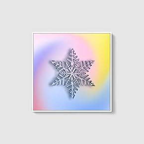 Framed Canvas Wall Art for Living Room, Bedroom Snowflake Theme Canvas Prints for Home Decoration Ready to Hang - 16x16 inches