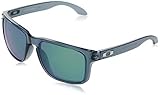 Oakley Men's Holbrook XL Sunglasses