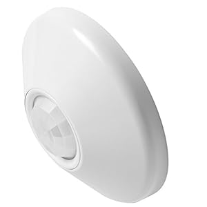 Lithonia Lighting CM PDT 10 R Ceiling Mount Extended Range Small Motion