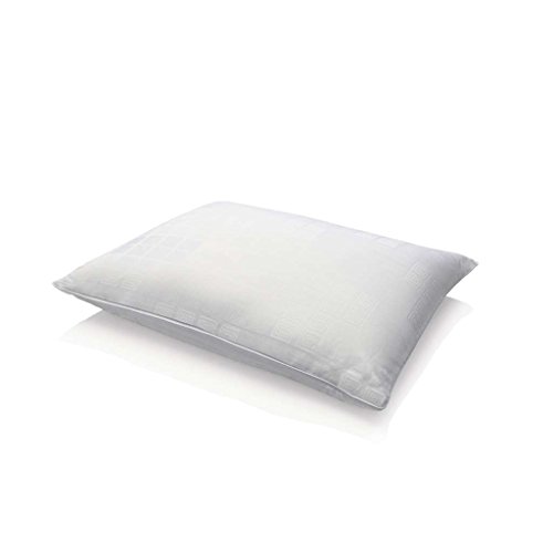 Tempur Pedic Tempur Traditional Pillow Buy Online In Kuwait
