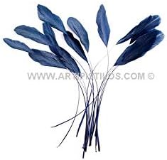 Stripped Rooster Feathers Packet - Bolsa De 15 Und. 10-12 Cms. Cada Pluma, Black - Feather Packets