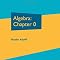Algebra: Chapter 0 Graduate Studies in Mathematics, Band 104: Amazon.de ...