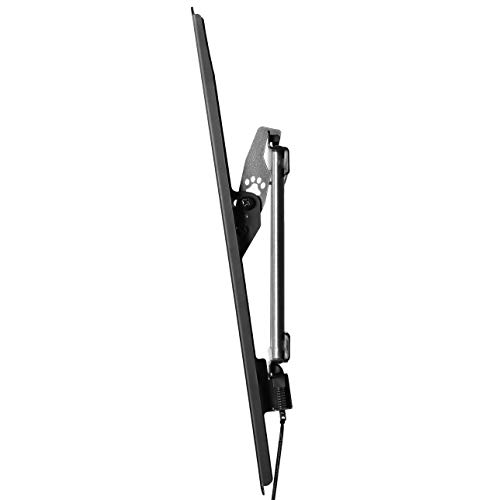 4 Cheetah+APTMM2B+Bracket+Twisted+Magnetic