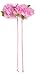 Creative Education's Hot Pink Adjustable Rose Petal Halo