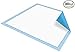 Platinum Care Pads Disposable Underpads Size 17X24 Case of 300 Blue and White Great for Changing Table and Surfaces