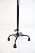 Ez2care Adjustable Small Base Quad Cane, Black