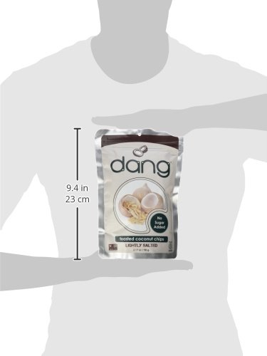 DANG KETO TOASTED COCONUT CHIPS | LIGHTLY SALTED UNSWEETENED | 1 PACK | KETO CERTIFIED, VEGAN, GLUTEN FREE, PALEO FRIENDLY, NON GMO, HEALTHY SNACKS MADE WITH WHOLE FOODS | 3.17 OZ RESEALABLE BAGS