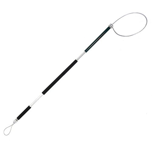 Tomahawk Animal Control Pole Amazon.co.uk Garden & Outdoors