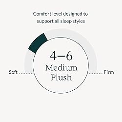 Leesa Legend Hybrid 12" Mattress, Twin XL Size