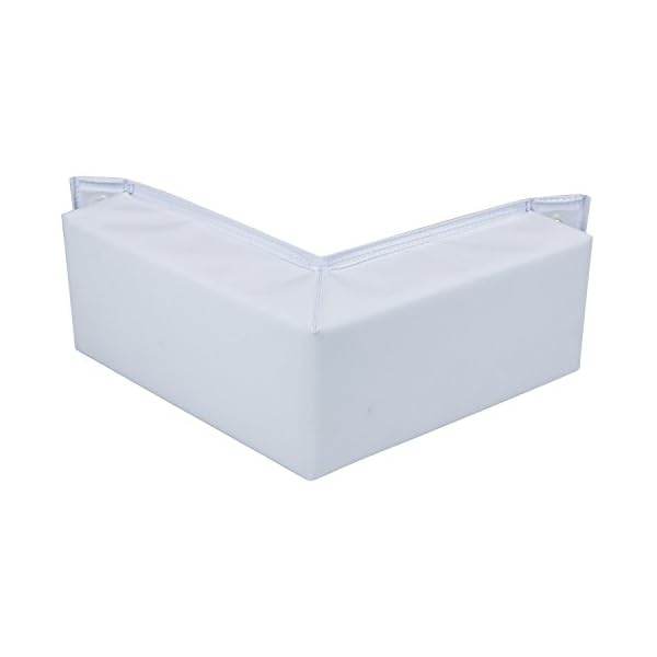 Extreme-Max-BoatTector-Dock