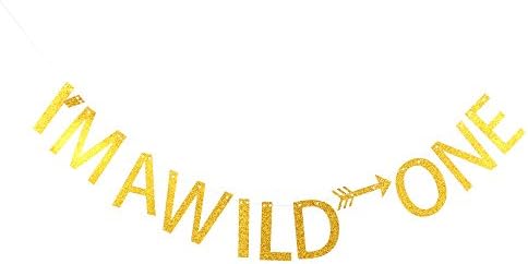 I'm a wild one with arrow banner for baby 1st birthday party decorations