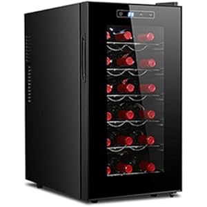 wine cooler and refrigerator