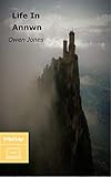 Life In Annwn: The Story of Willy Jones' Afterlife by Owen Jones