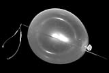 Needle Thru Balloon From Royal Magic - The Best Version of This Classic You've Ever Performed!