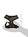 Puppia Soft Dog Harness No Choke Over-The-Head Triple Layered Breathable Mesh Adjustable Chest Belt and Quick-Release Buckle, Camouflage, X-Small