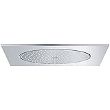 Rainshower F-Series 1-Spray 20 In. Ceiling Showerhead